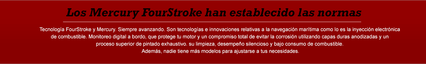 Fuera de Borda fourstroke